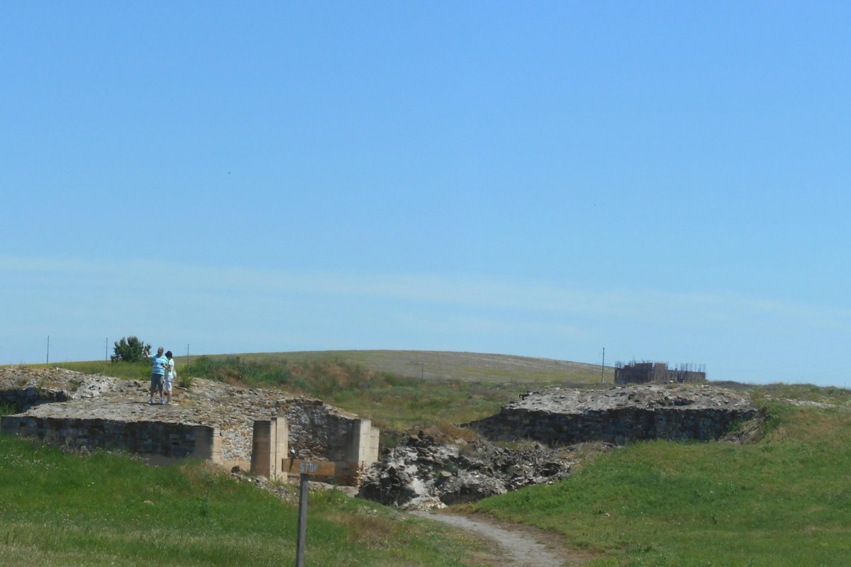 POEZIE: Luminița Drăgan 304577