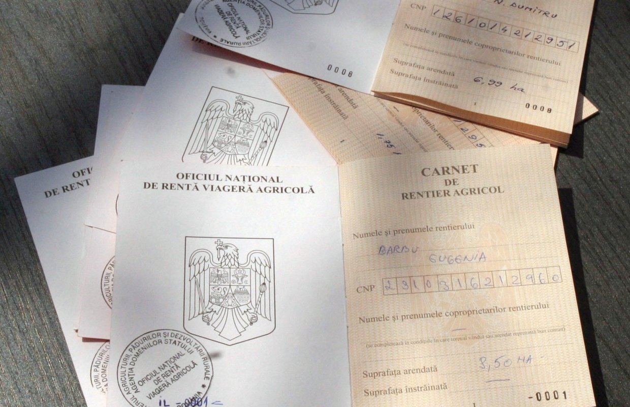 Termen pentru vizarea carnetului de rentier 304759