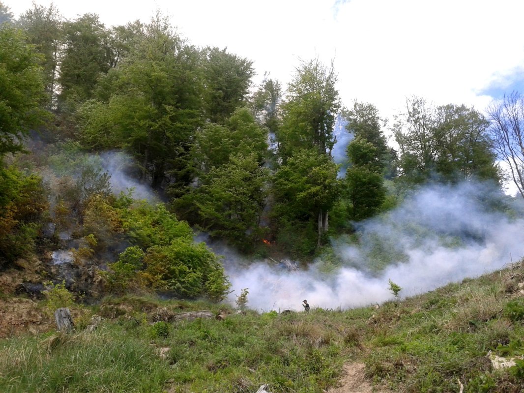 A crescut numărul incendiilor de pădure 305344