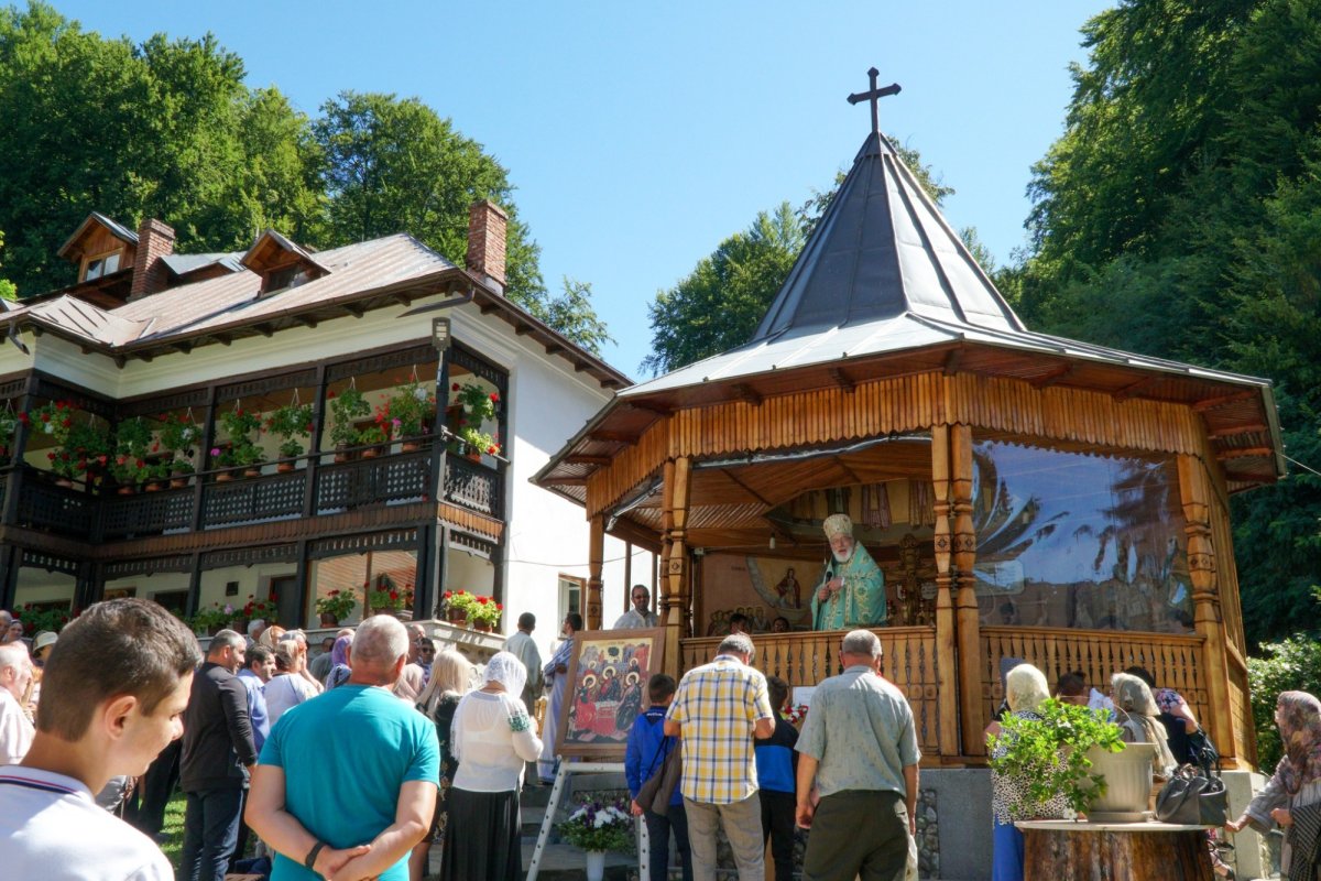 Prinos de laudă Sfântului Cuvios Pafnutie - Pârvu Zugravul 305380