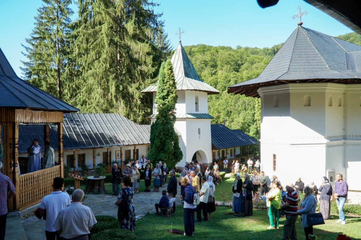 Prinos de laudă Sfântului Cuvios Pafnutie - Pârvu Zugravul 305381