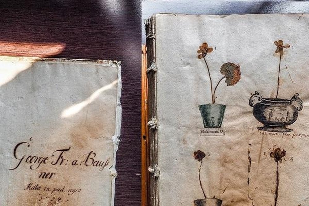 Cel mai vechi ierbar din Europa, expus la Iași 305778