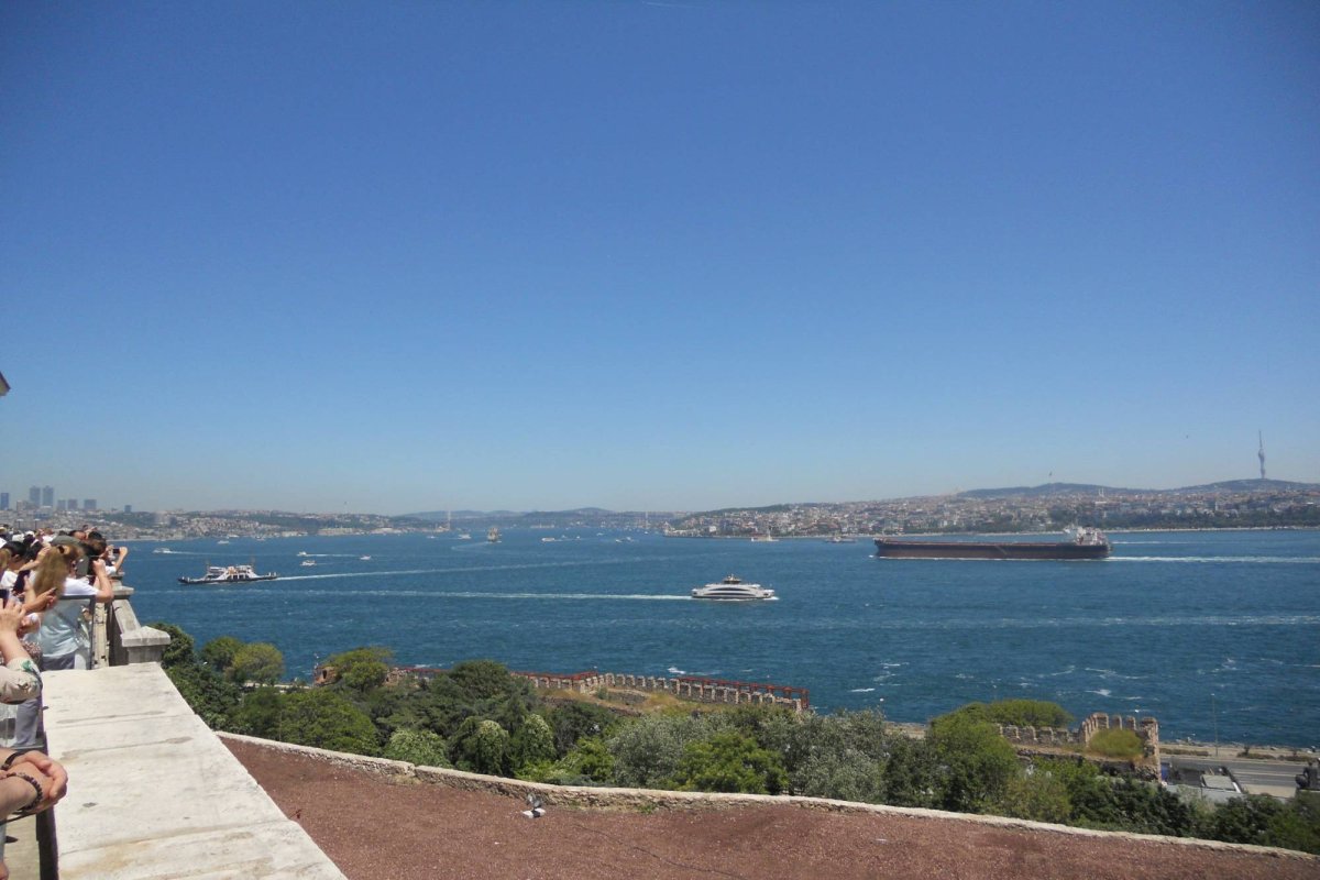 „O, Doamne! O, Doamne! Pana-mi tremură când vă scriu...” 305477