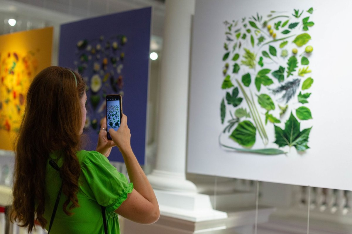 Frumusețea parcurilor adusă pe planșe 306346