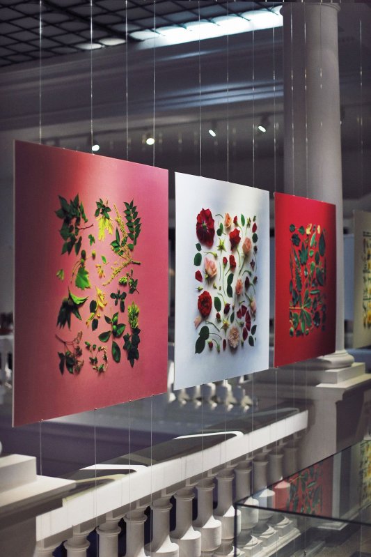 Frumusețea parcurilor adusă pe planșe 306347