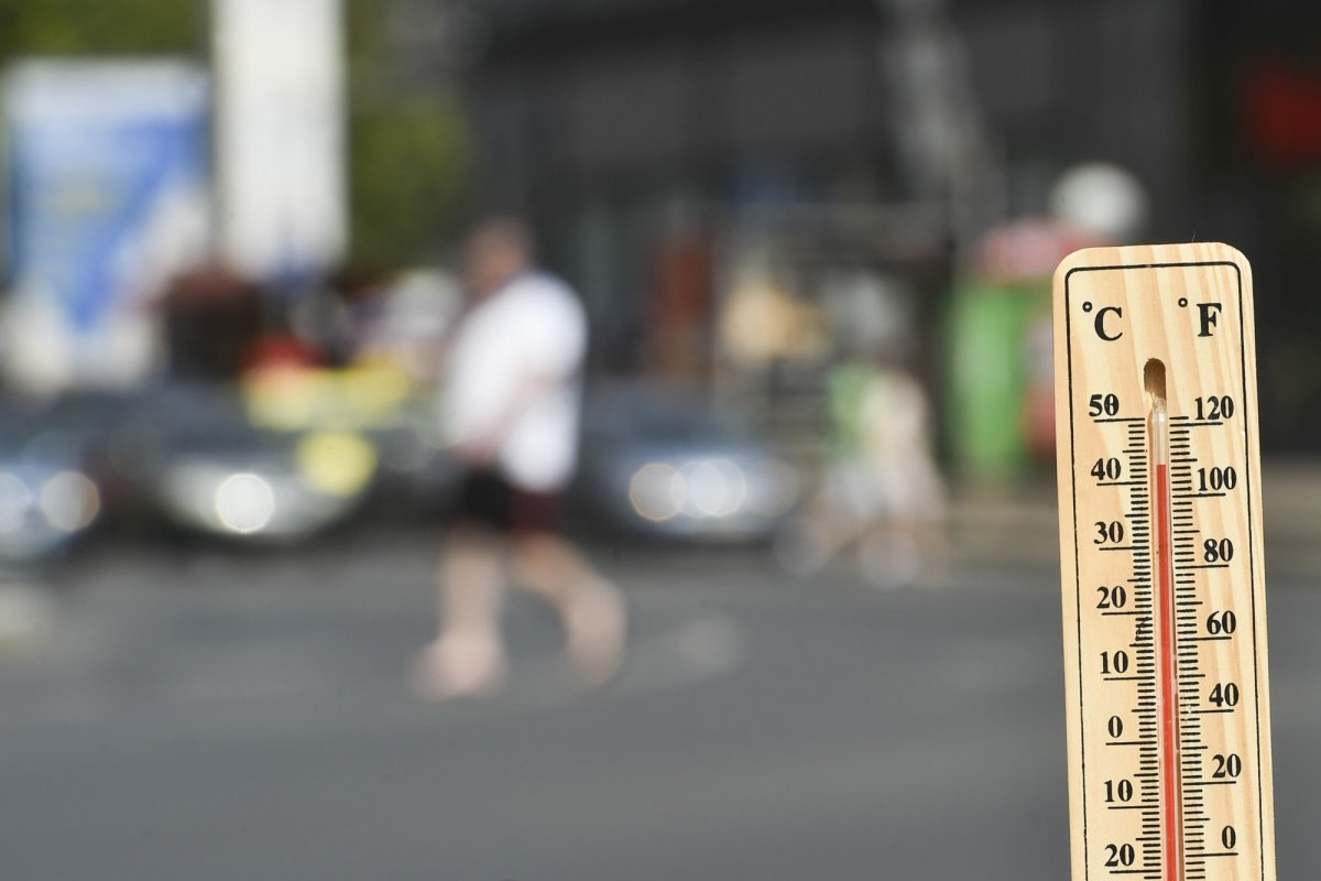 Cea mai călduroasă vară din istoria măsurătorilor 307555