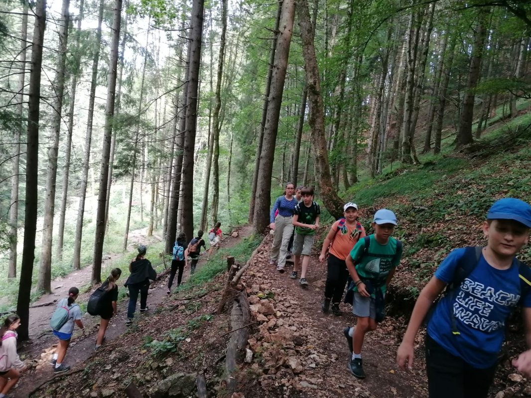 Tabere pentru copii și tineri la centrul socio‑cultural de la Tărlungeni, Braşov 307799