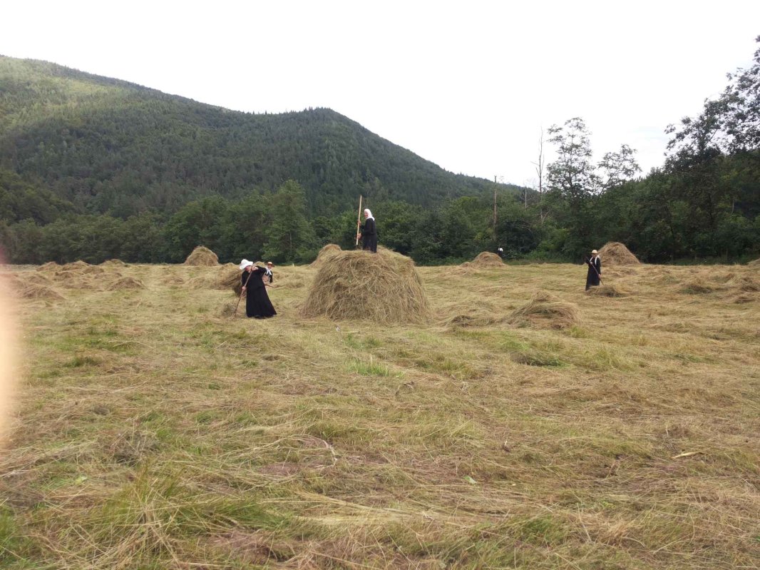 Mănăstirea Suzana - broboane de sudoare, picături de har 307145