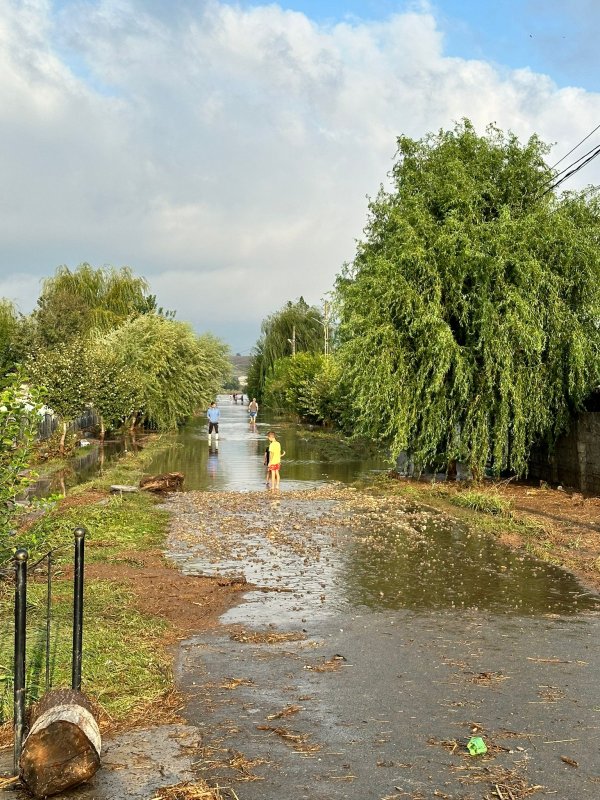 Apel la solidaritate cu persoanele afectate grav de inundații 308607