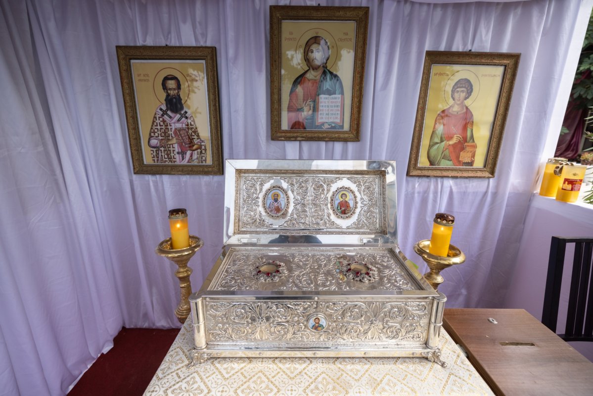 Prăznuirea Sfântului Visarion la Schitul Măgureanu din București 308629