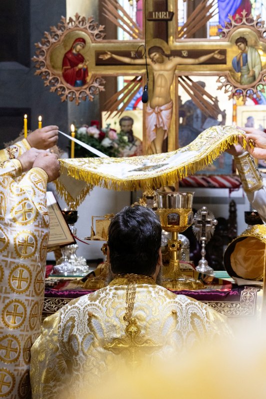 Prăznuirea Sfântului Visarion la Schitul Măgureanu din București 308640