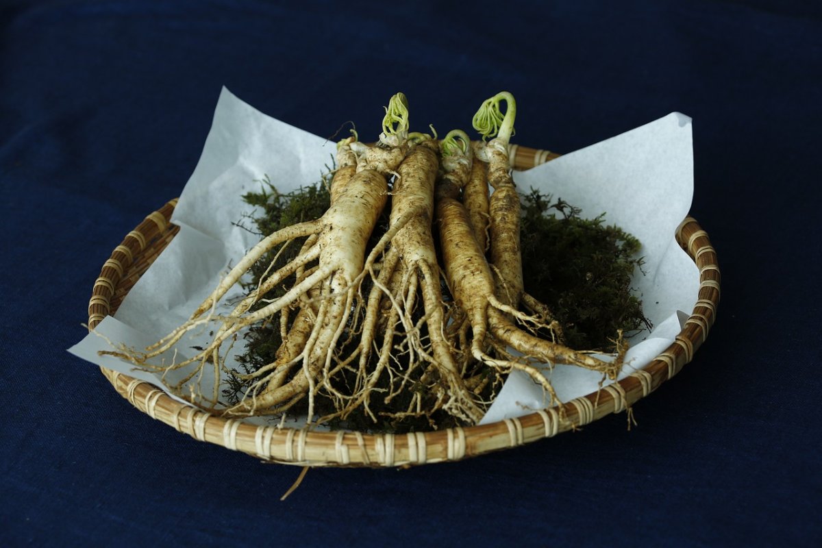 Preparate ușoare cu ginseng  308483