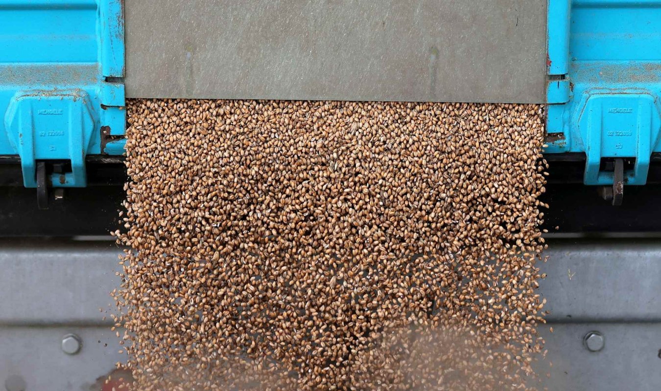 Exporturile ucrainene de cereale s-au înjumătățit 309077