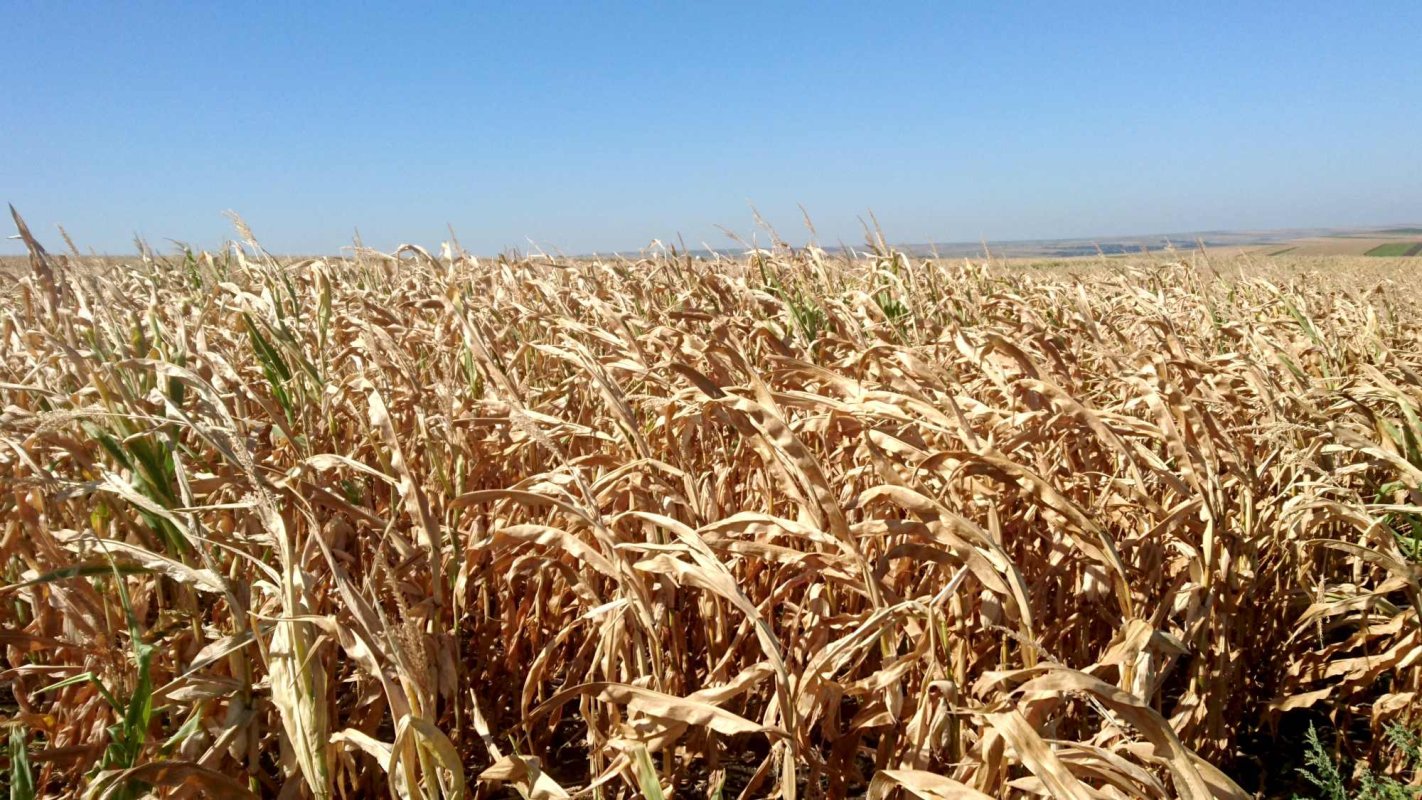 Suspendarea ratelor agricultorilor până la finele anului 2025 309074