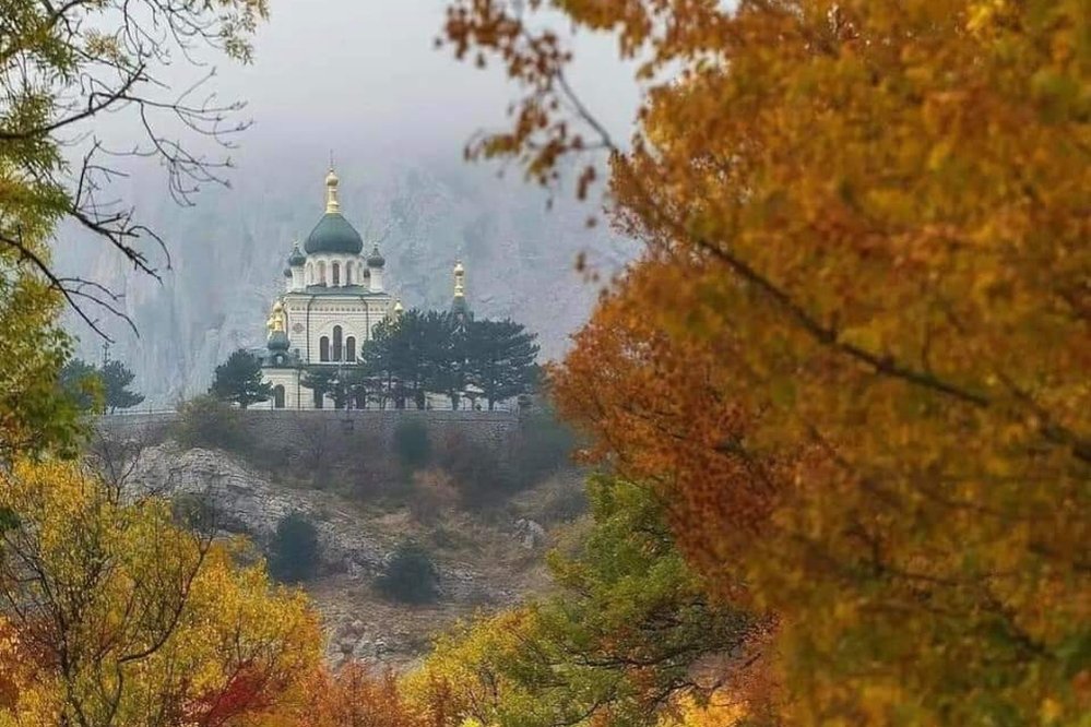 Maratonul vieții noastre 309317