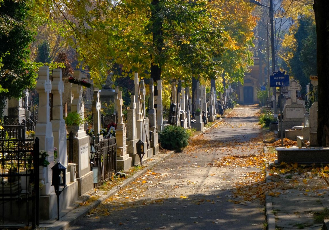 Puterea rugăciunii pentru adormiți 242701