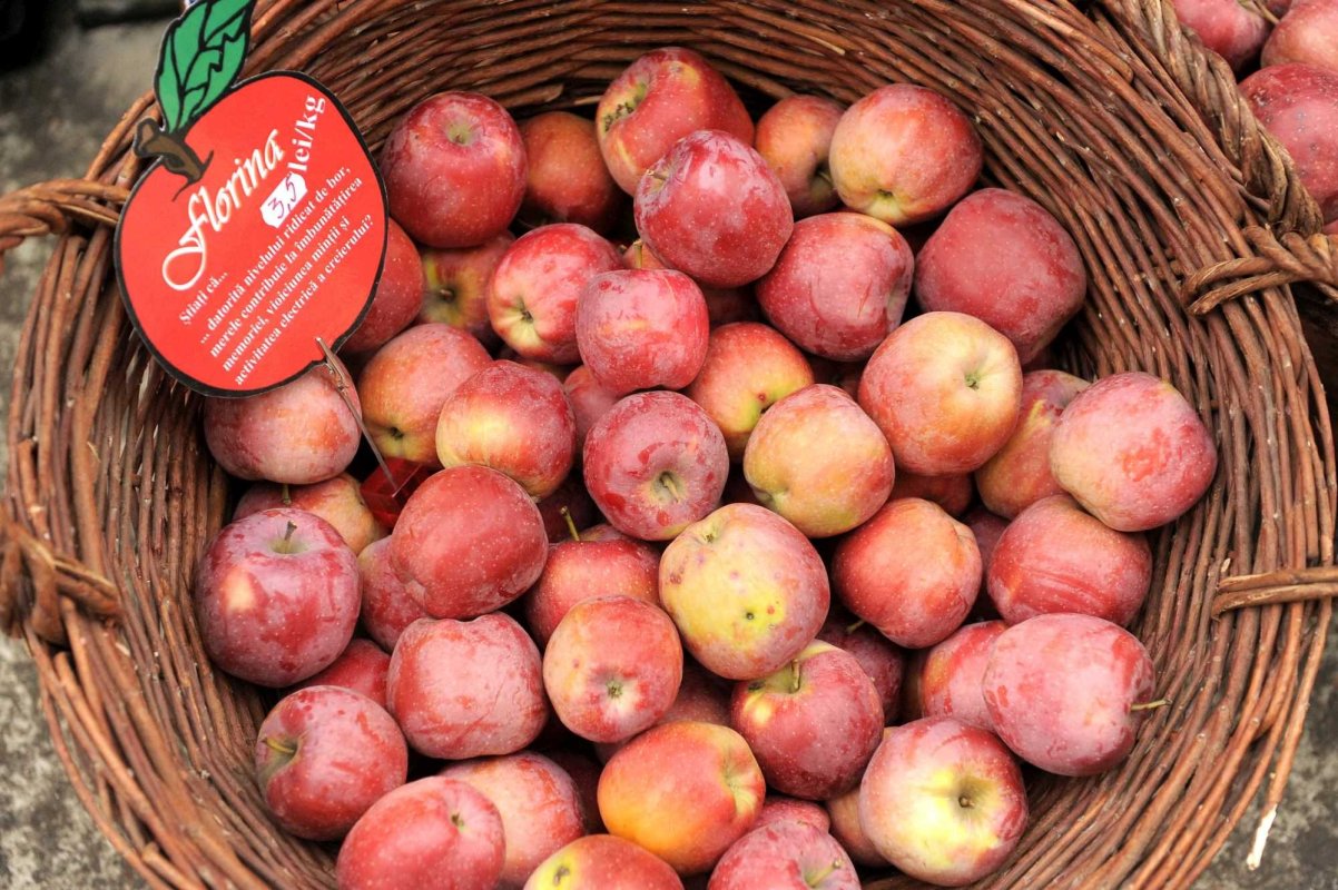 Târguri de toamnă în weekend 309735