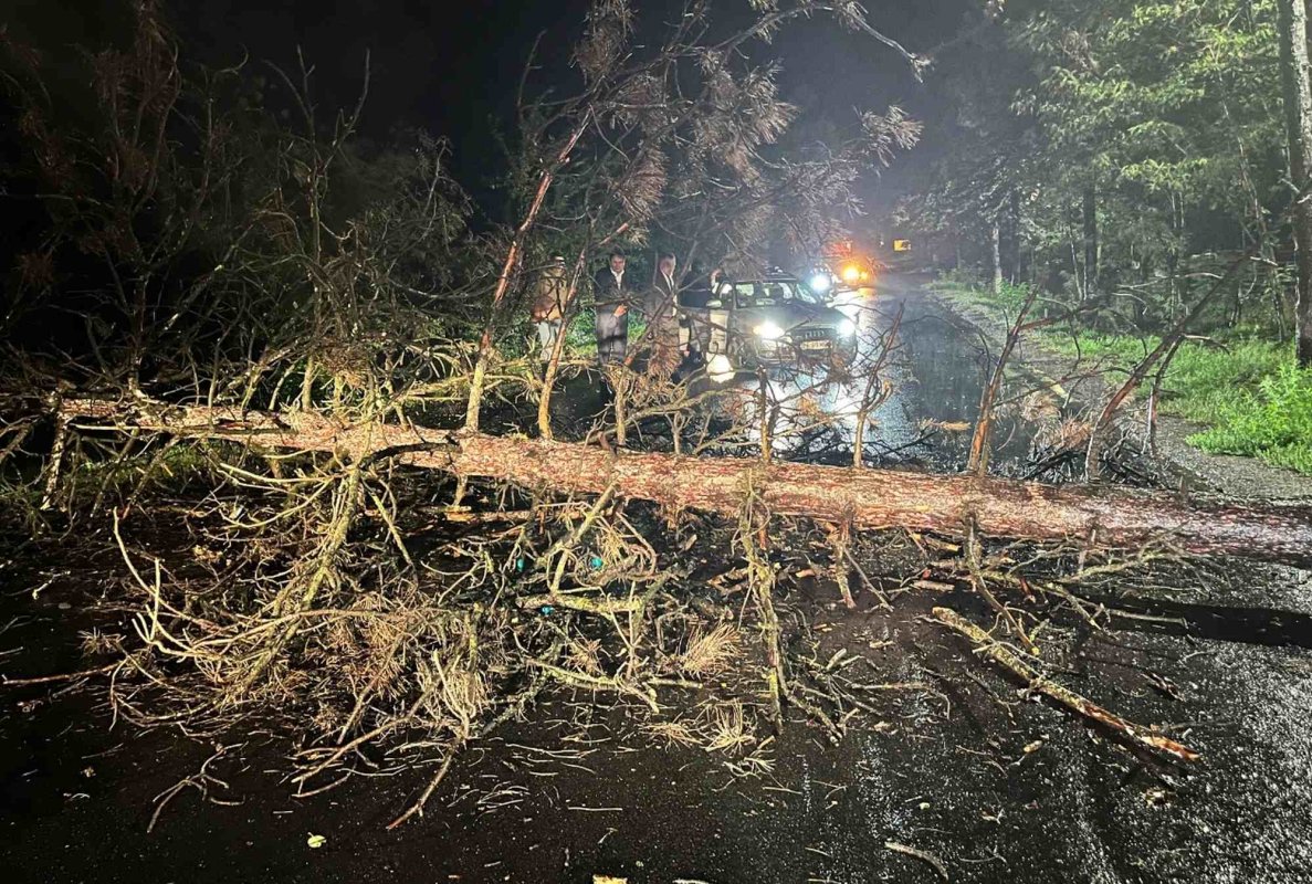 Intervenții în peste 116 localități afectate de ploi și vânt 310040