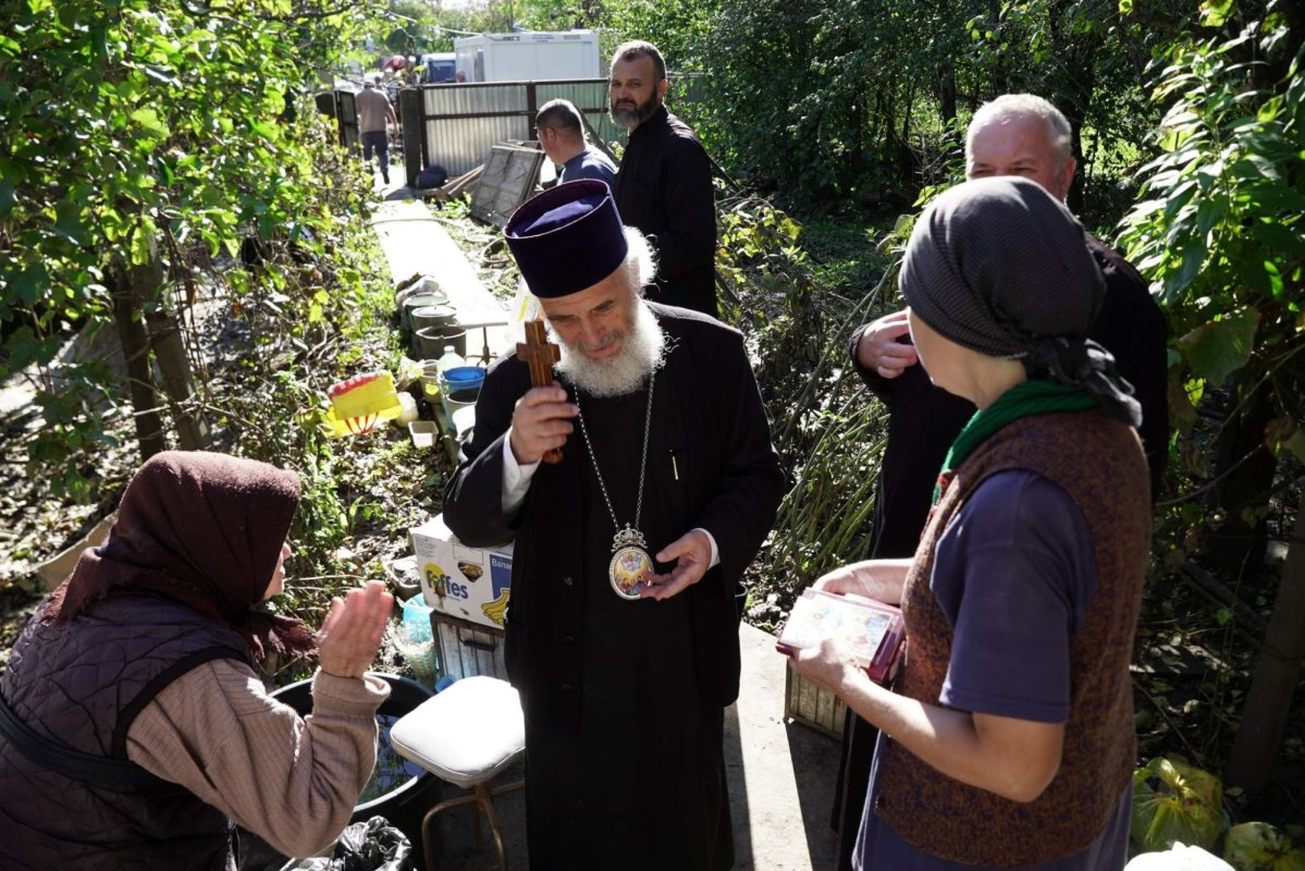 Lemne pentru iarnă oferite sinistraţilor din judeţul Galaţi 311028