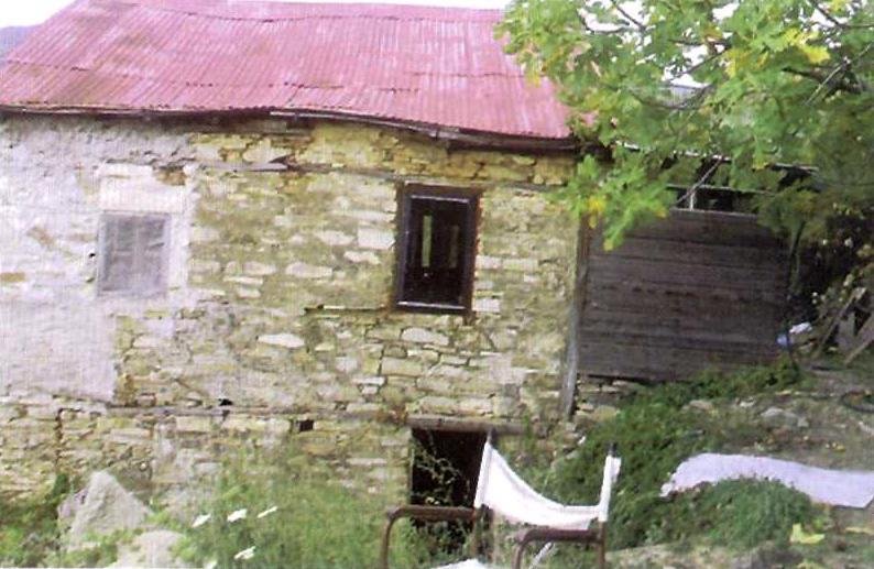 Gheron Irodion, pustnicul tainic al Muntelui Athos, mistuit de dragostea lui Dumnezeu (II) 311241