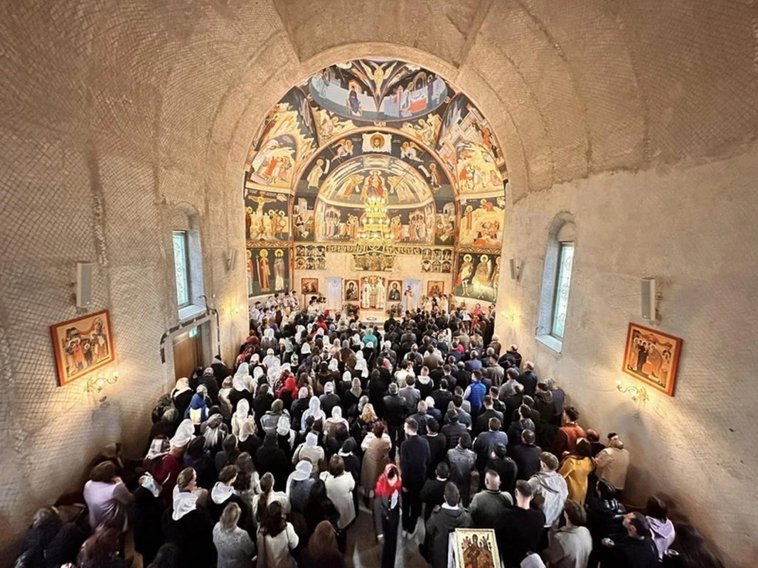 Întâlnirea ATORG 2024 a avut loc la Viena 311877