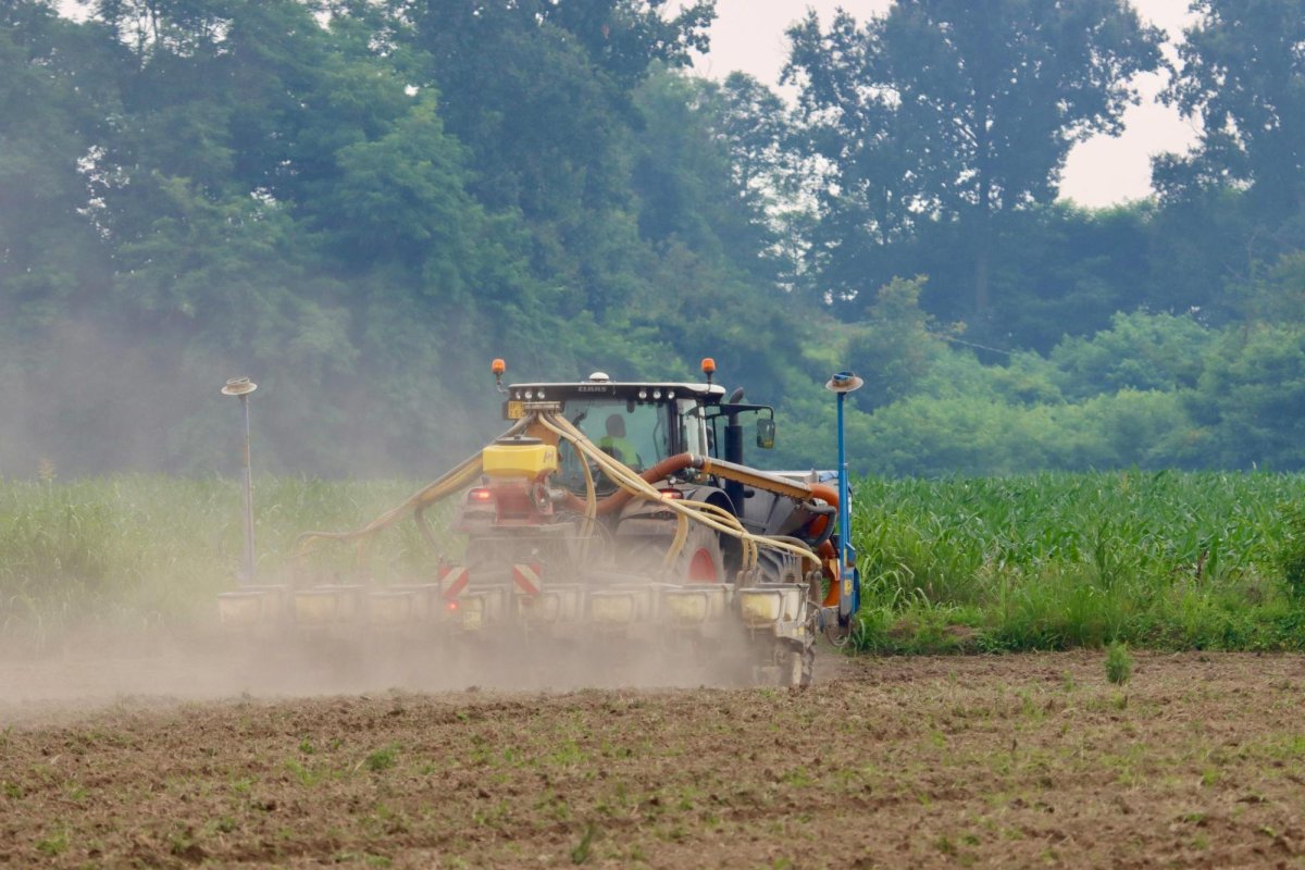 Italia relaxează condițiile pentru muncitorii străini 312480