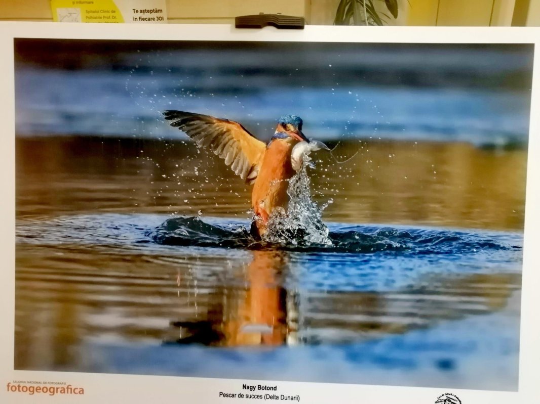 Salonul Național de Fotografie 2024 312483