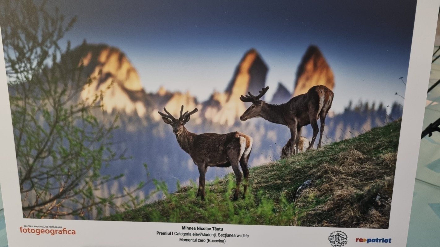 Salonul Național de Fotografie 2024 312484