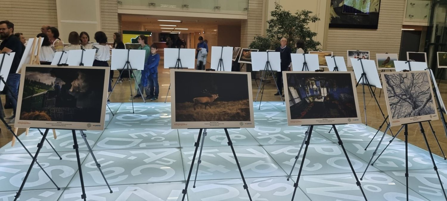 Salonul Național de Fotografie 2024 312486