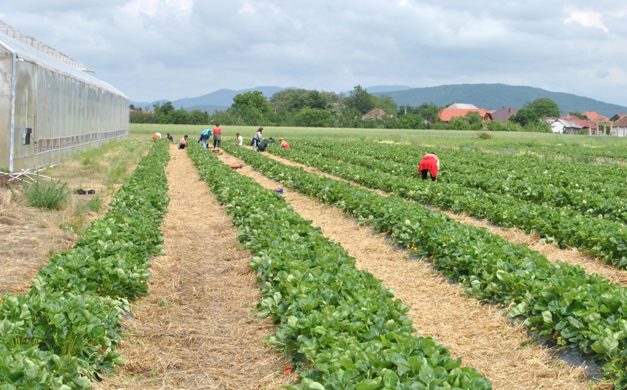 Neterminarea studiilor „costă” circa 190.000 de euro  312562