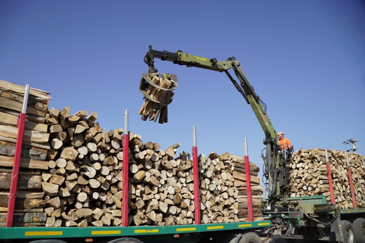 Noi transporturi cu lemne de fag pentru sinistraţi 312710
