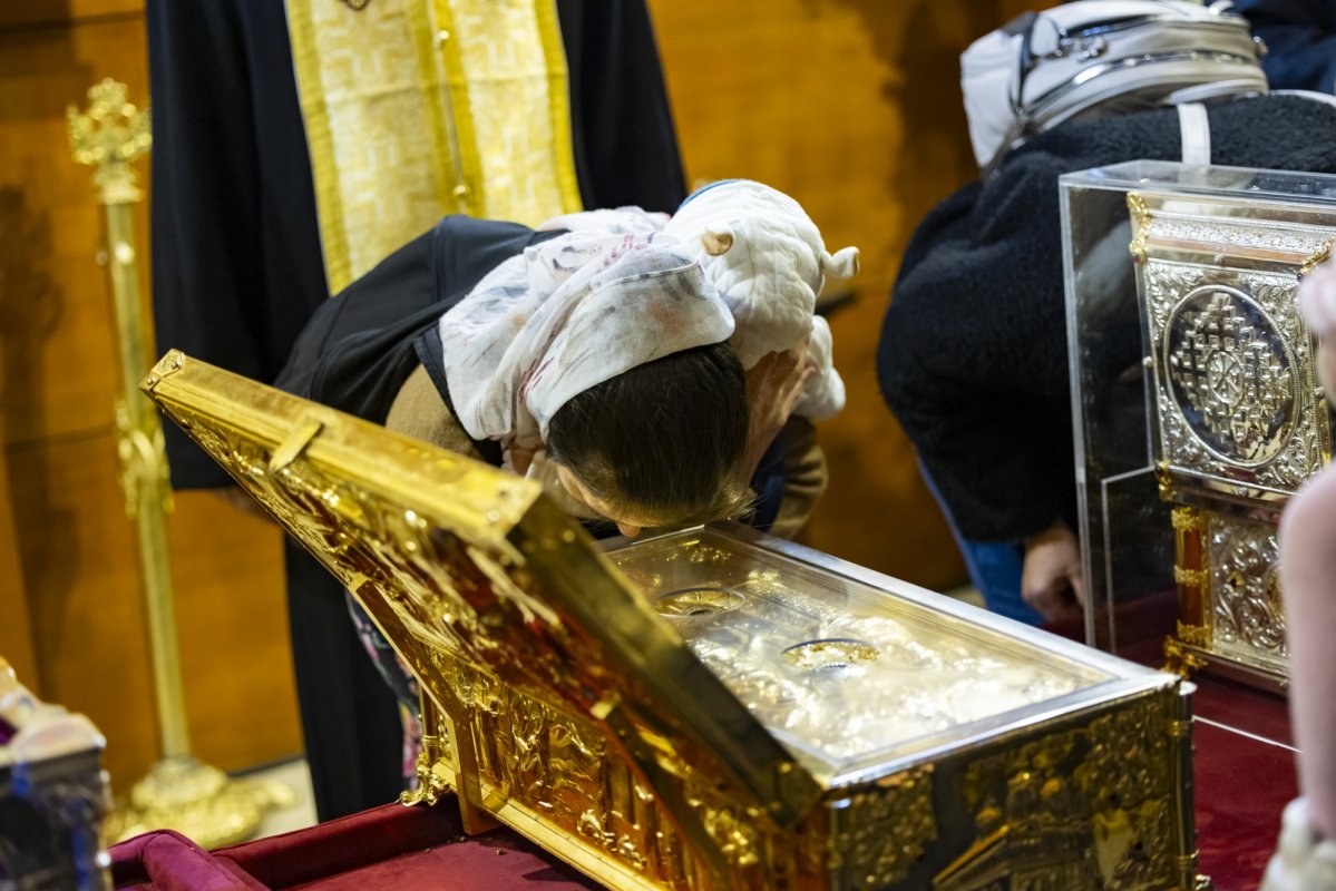 Rugăciune de laudă adusă Sfântului și Dreptului Lazăr la Catedrala Patriarhală 312919