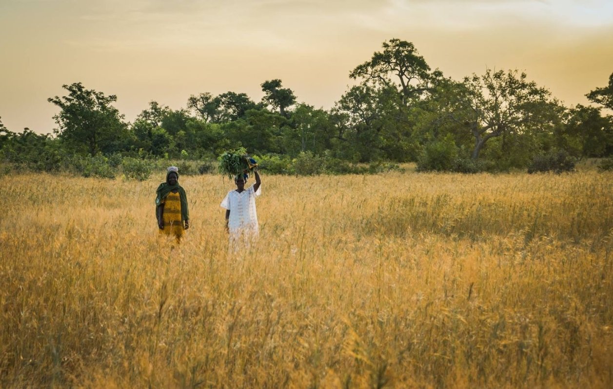 Țările cu cei mai mulți locuitori în sărăcie extremă 312688