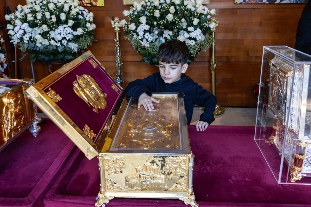 Sfântul Mucenic ocrotitor al Tesalonicului cinstit pe Colina Bucuriei 313047