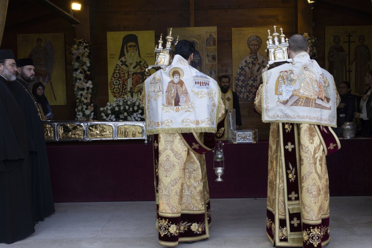 Laudă de seară adusă Cuviosului Dimitrie cel Nou 313362