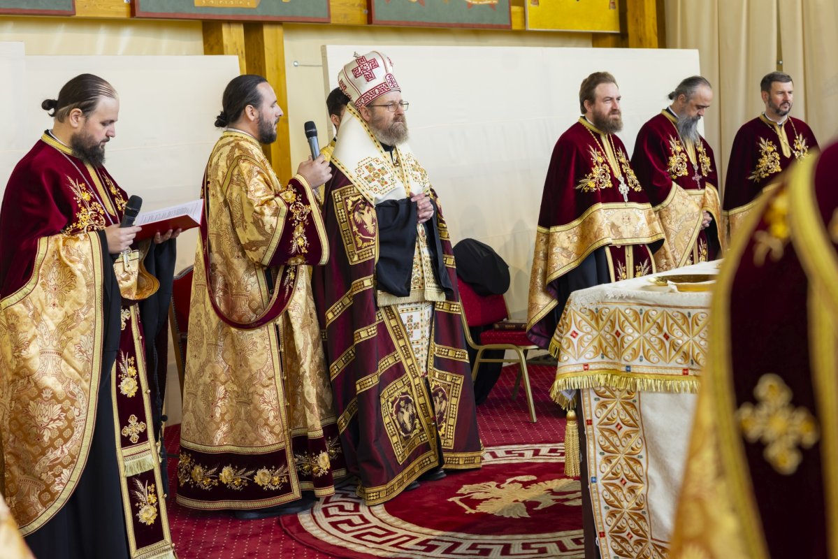 Laudă de seară adusă Cuviosului Dimitrie cel Nou 313383