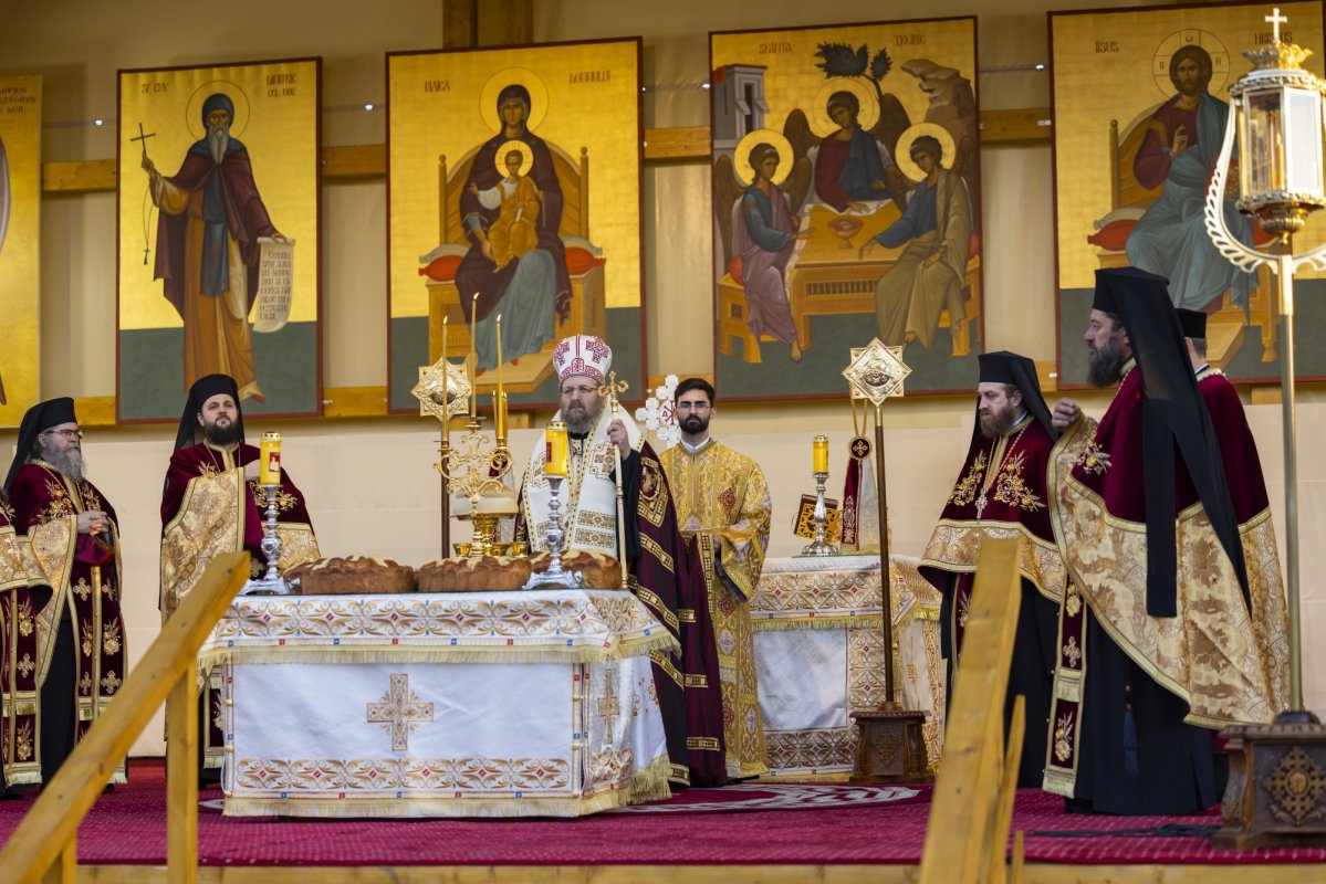 Laudă de seară adusă Cuviosului Dimitrie cel Nou 313400