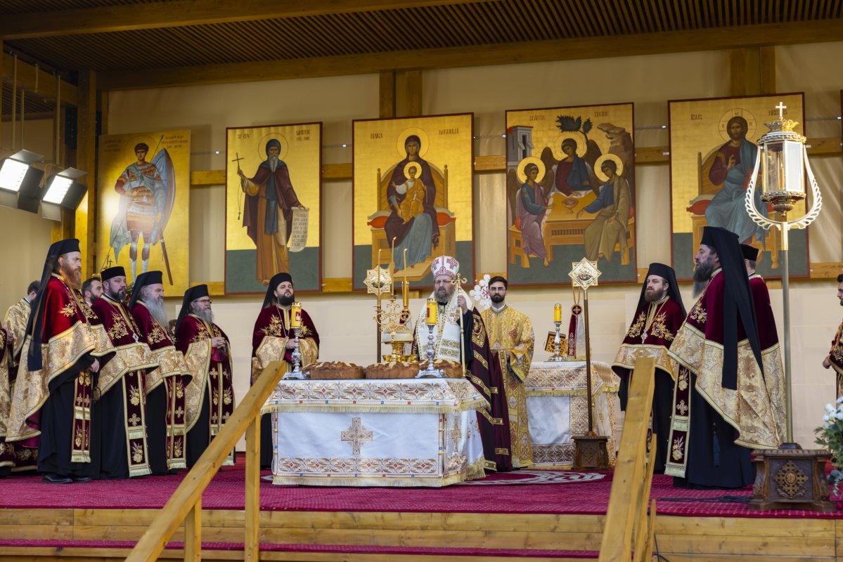 Laudă de seară adusă Cuviosului Dimitrie cel Nou 313401