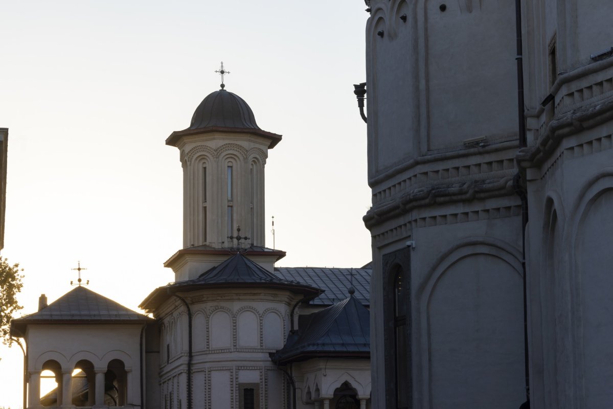 Laudă de seară adusă Cuviosului Dimitrie cel Nou 313403