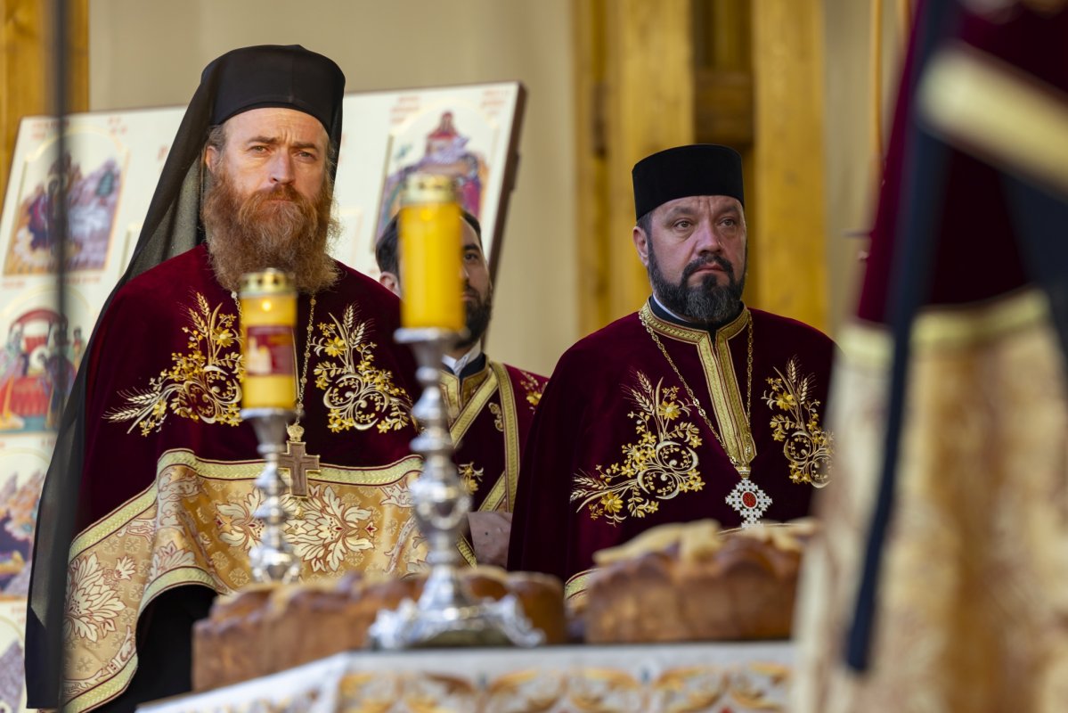 Laudă de seară adusă Cuviosului Dimitrie cel Nou 313404