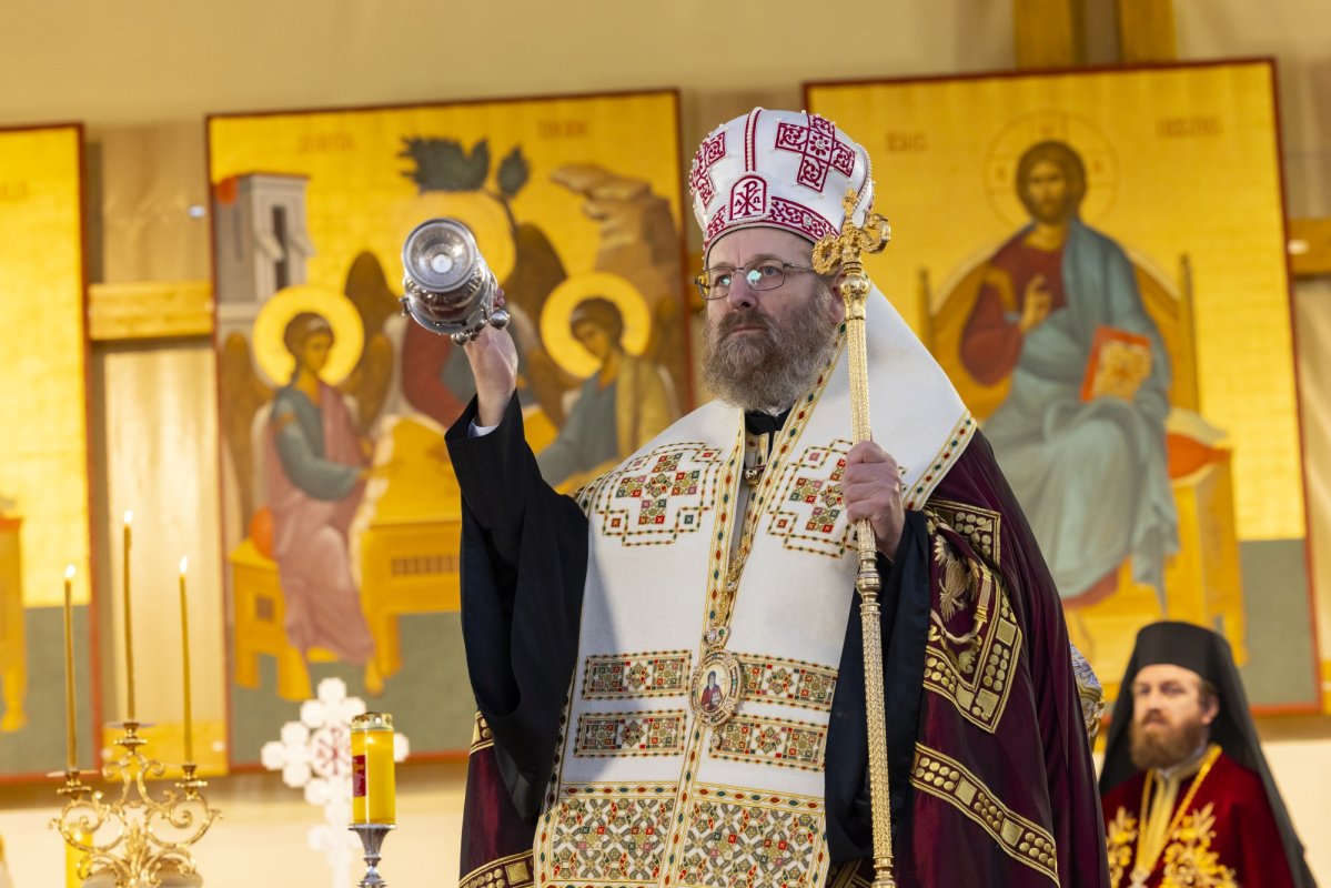 Laudă de seară adusă Cuviosului Dimitrie cel Nou 313421