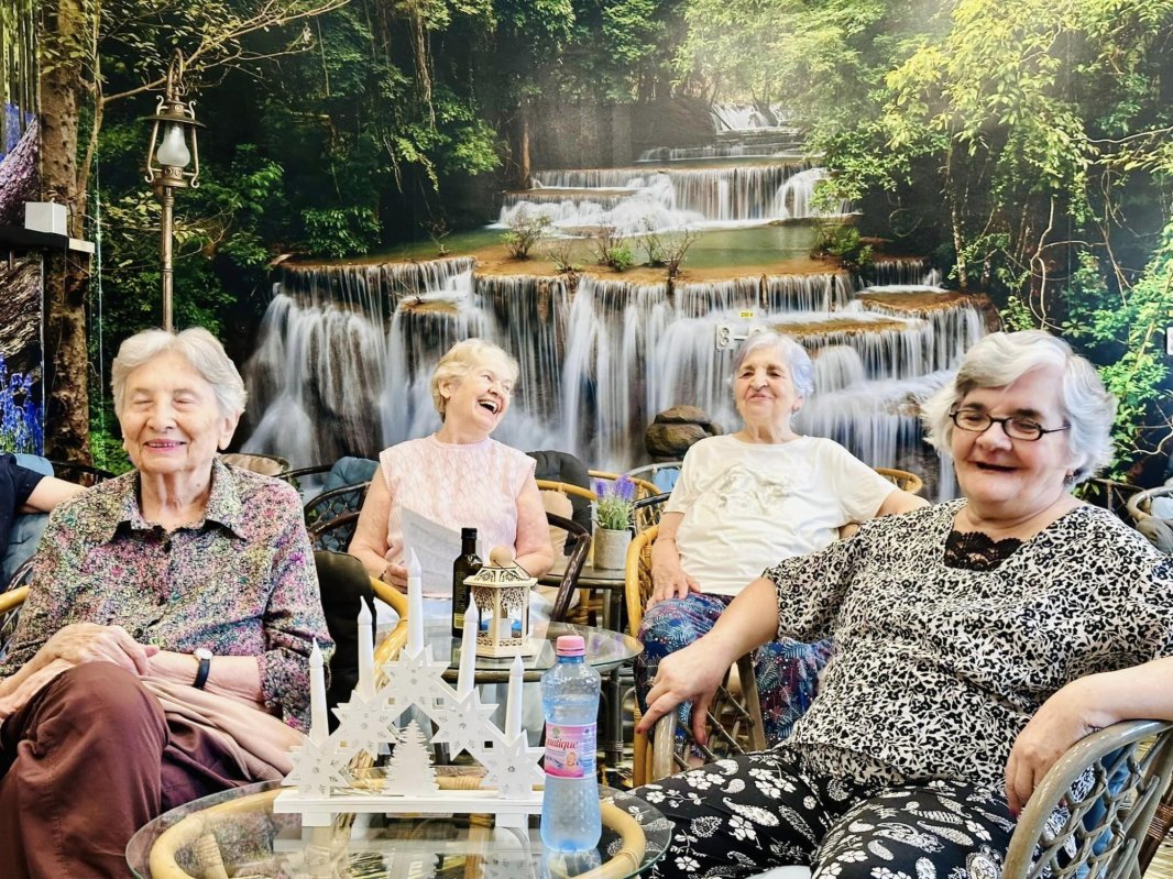 Un loc de adoptat bunici 314133