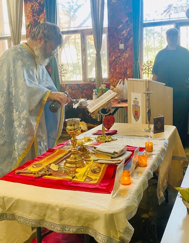 Un loc de adoptat bunici 314145