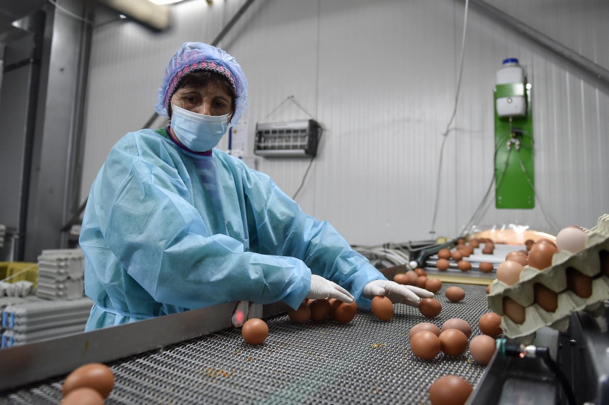 Condiții noi pentru fermieri din 2025 314247