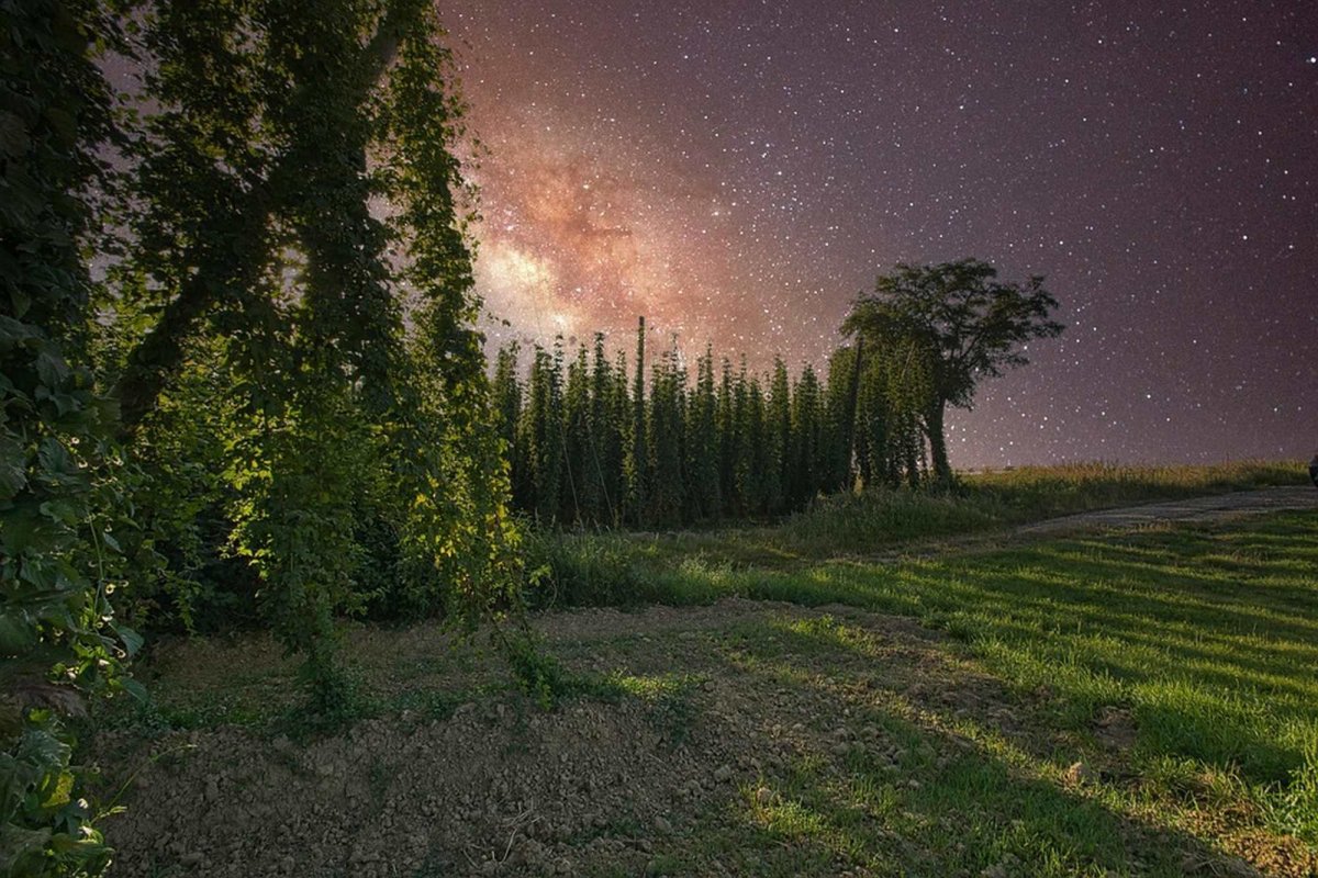 Sub roțile Carului Mare 314202