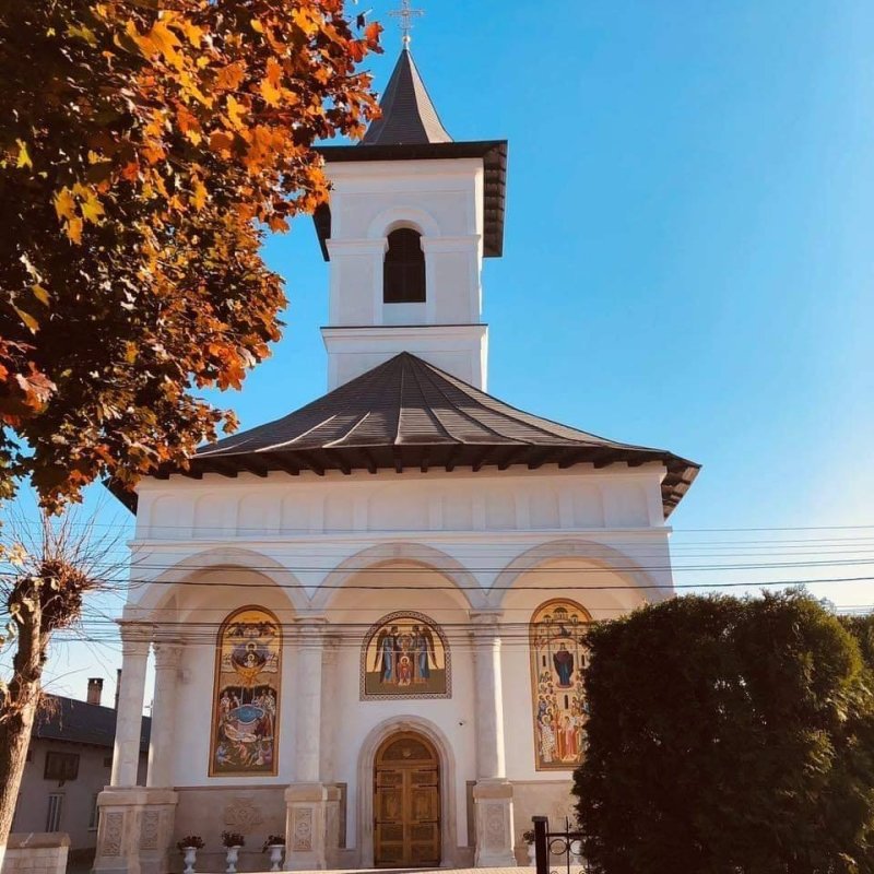 Moaștele Sfântului Antonie cel Mare vor fi duse la o biserică din Suceava 314925