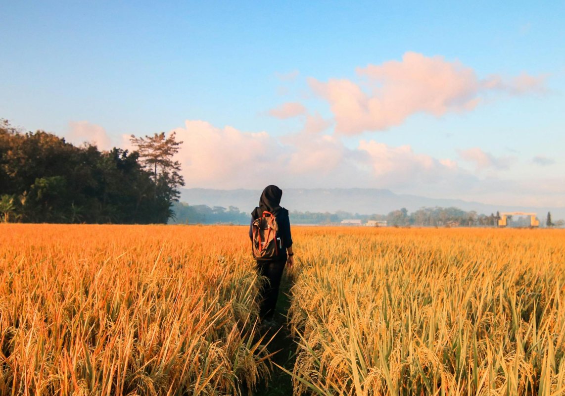 Călătorie în ghiozdanul unui școlar de altădată 315172