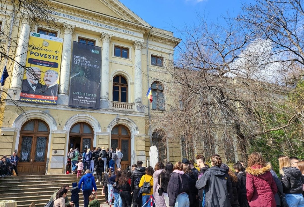 Muzeul bucureștean cu o istorie de 190 de ani 315974