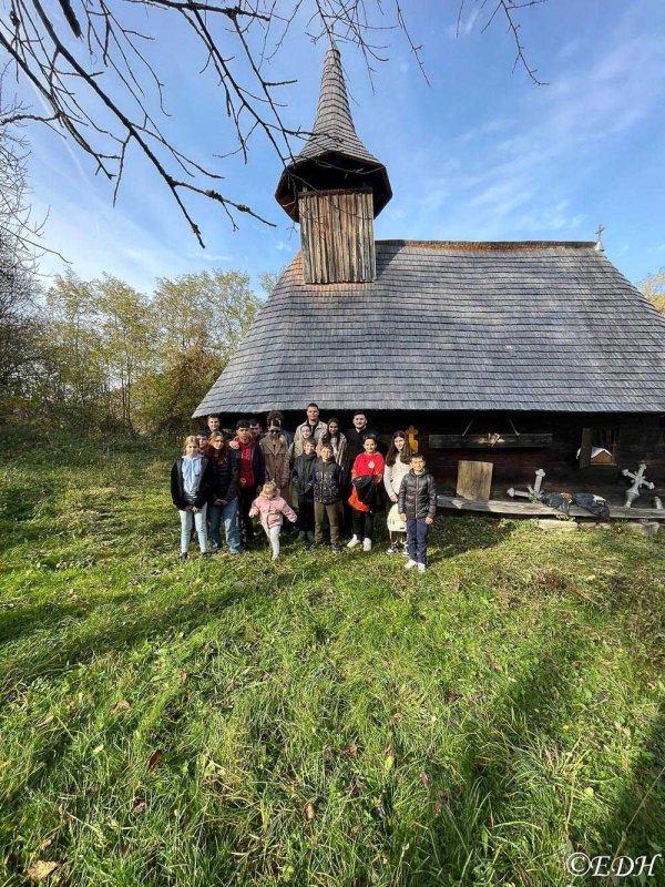 Activități cu tinerii la Orthocaffe Deva 316307