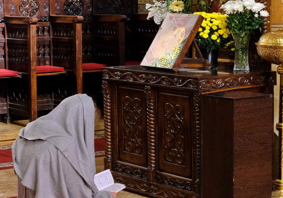 Ascultarea și atenția sporită 266227